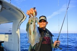 South Current 釣果