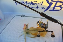 South Current 釣果