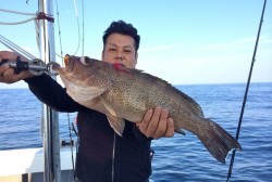 South Current 釣果