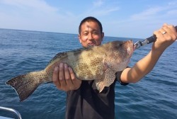 South Current 釣果