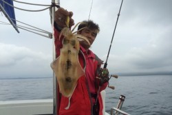 South Current 釣果