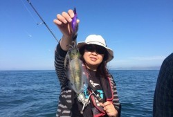 South Current 釣果