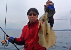 South Current 釣果