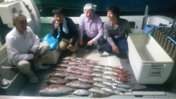 エムズジャーク（M’s JERK） 釣果