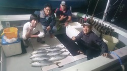 エムズジャーク（M’s JERK） 釣果