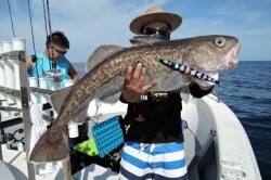 ワープゾーン 釣果