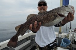 ワープゾーン 釣果