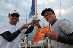 ワープゾーン 釣果