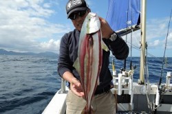 ワープゾーン 釣果