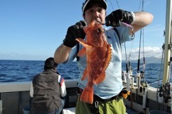 ワープゾーン 釣果