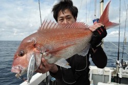 ワープゾーン 釣果