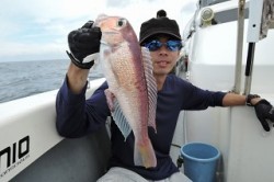 ワープゾーン 釣果