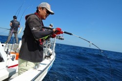 ワープゾーン 釣果