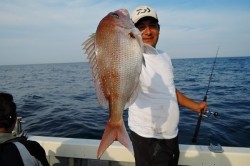 ワープゾーン 釣果