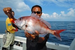 ワープゾーン 釣果