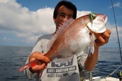 ワープゾーン 釣果