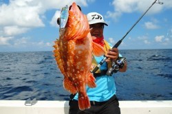 ワープゾーン 釣果