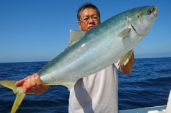 ワープゾーン 釣果