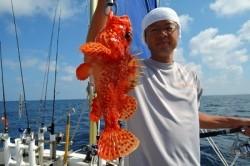 ワープゾーン 釣果