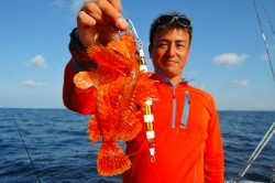 ワープゾーン 釣果