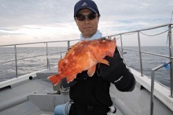 ワープゾーン 釣果