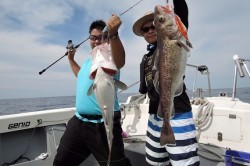 ワープゾーン 釣果