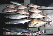 オーシャンスター(Ocean Star) …