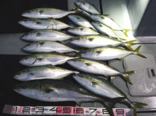 オーシャンスター(Ocean Star) 釣果