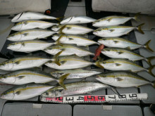 オーシャンスター(Ocean Star) …