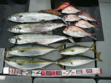 オーシャンスター(Ocean Star) …