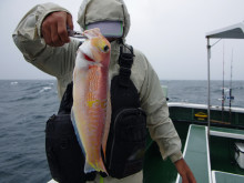 Big One　ビッグワン 釣果