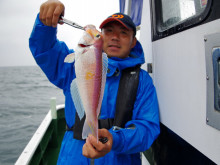 Big One　ビッグワン 釣果