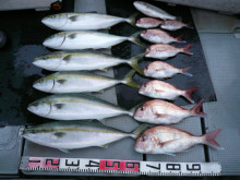 オーシャンスター(Ocean Star) …