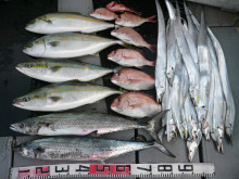 オーシャンスター(Ocean Star) …