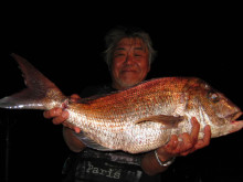 ＪＤＩ　Ｒａｃｉｎｇ　シールズマリンレジャ…