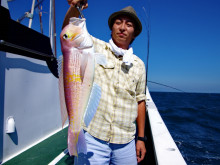 Big One　ビッグワン 釣果