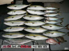 オーシャンスター(Ocean Star) …