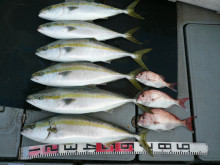 オーシャンスター(Ocean Star) …