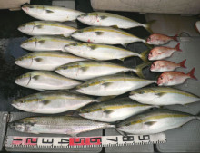 オーシャンスター(Ocean Star) …