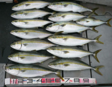 LUZ PLAYA　ルスプラージャ 釣果