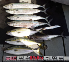 オーシャンスター(Ocean Star) …