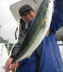 ＪＤＩ　Ｒａｃｉｎｇ　シールズマリンレジャー 釣果