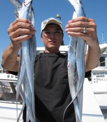 JDI Racing シールズマリンレジャー 釣果