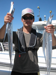 JDI Racing シールズマリンレジャー 釣果