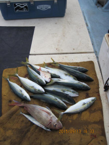 第八 源洋丸 釣果