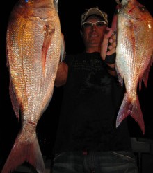 ＪＤＩ　Ｒａｃｉｎｇ　シールズマリンレジャー 釣果