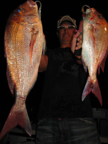 ＪＤＩ　Ｒａｃｉｎｇ　シールズマリンレジャー 釣果