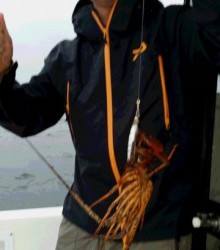 ＪＤＩ　Ｒａｃｉｎｇ　シールズマリンレジャー 釣果