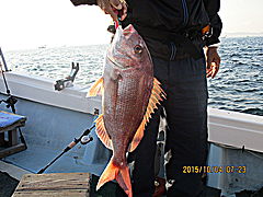 遊漁船 未紗奈 釣果