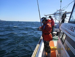 遊漁船 未紗奈 釣果